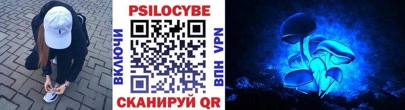 Псилоцибиновые грибы мицелий  Мариинский Посад 